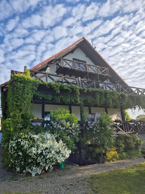 Pensjonat Rybaczowka - Noclegi, Restauracja, Port Bogaczewo  Luaran gambar
